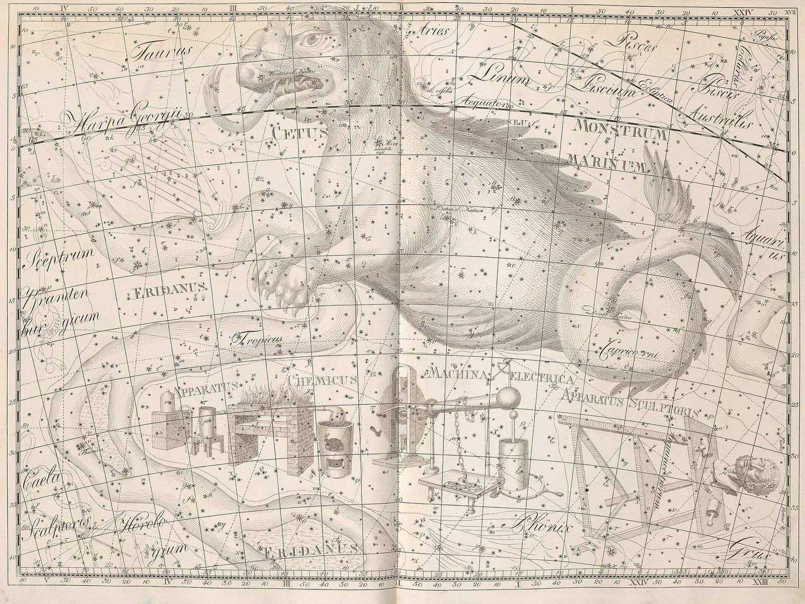 Kupferstich von 1801: der Walfisch, ein Seeungeheuer mit Hundekopf und eingerolltem Schwanz, inmitten eines Koordinatennetzes und vieler Sterne.