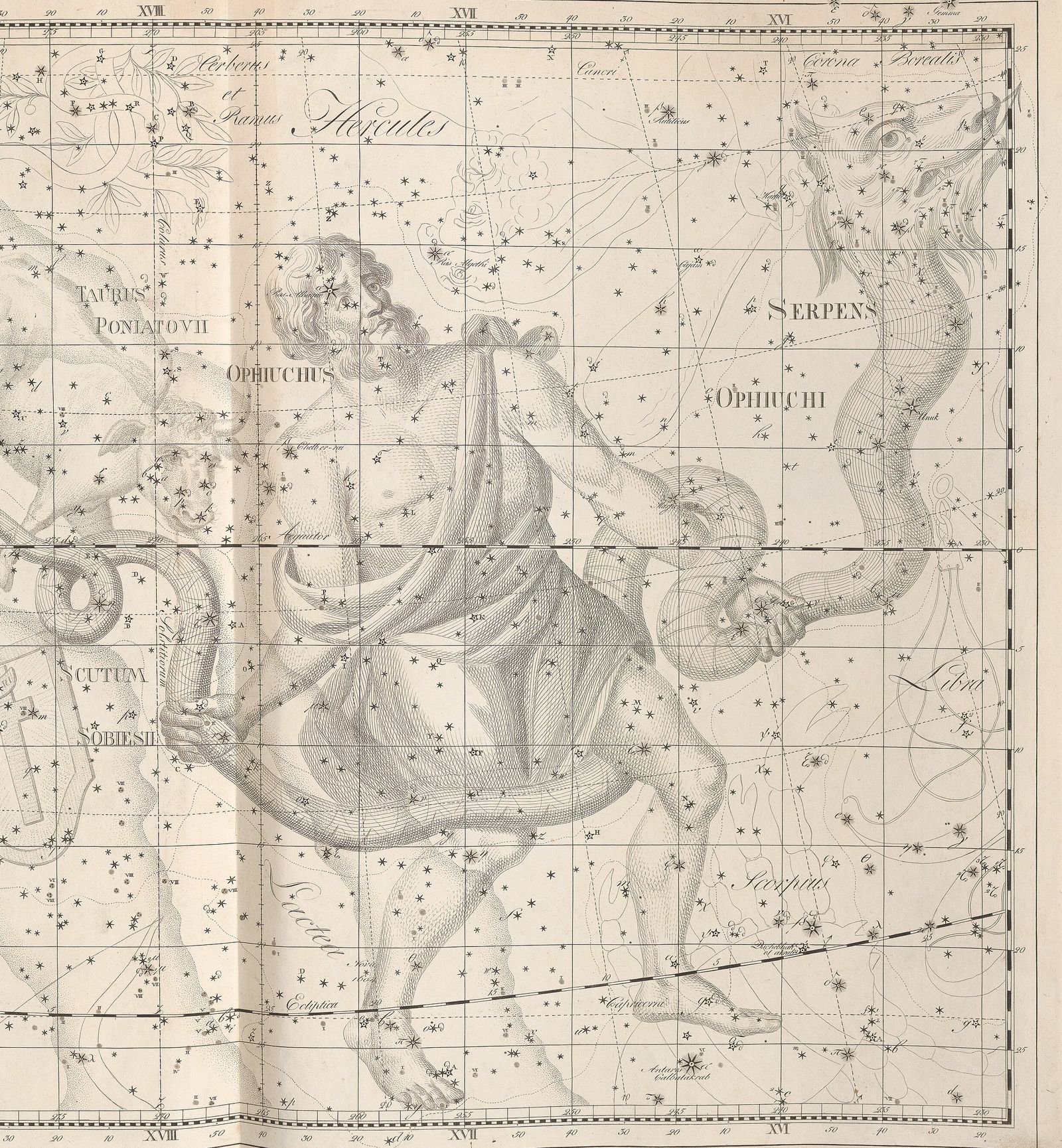 Kupferstich von 1801: Schlangenträger, bärtig und in ein Tuch gehüllt, hält mit beiden Händen eine lange Schlange; ringsum Waage, Skorpion, Schild des Sobieski und Poniatowskischer Stier, durch punktierte Linien getrennt.