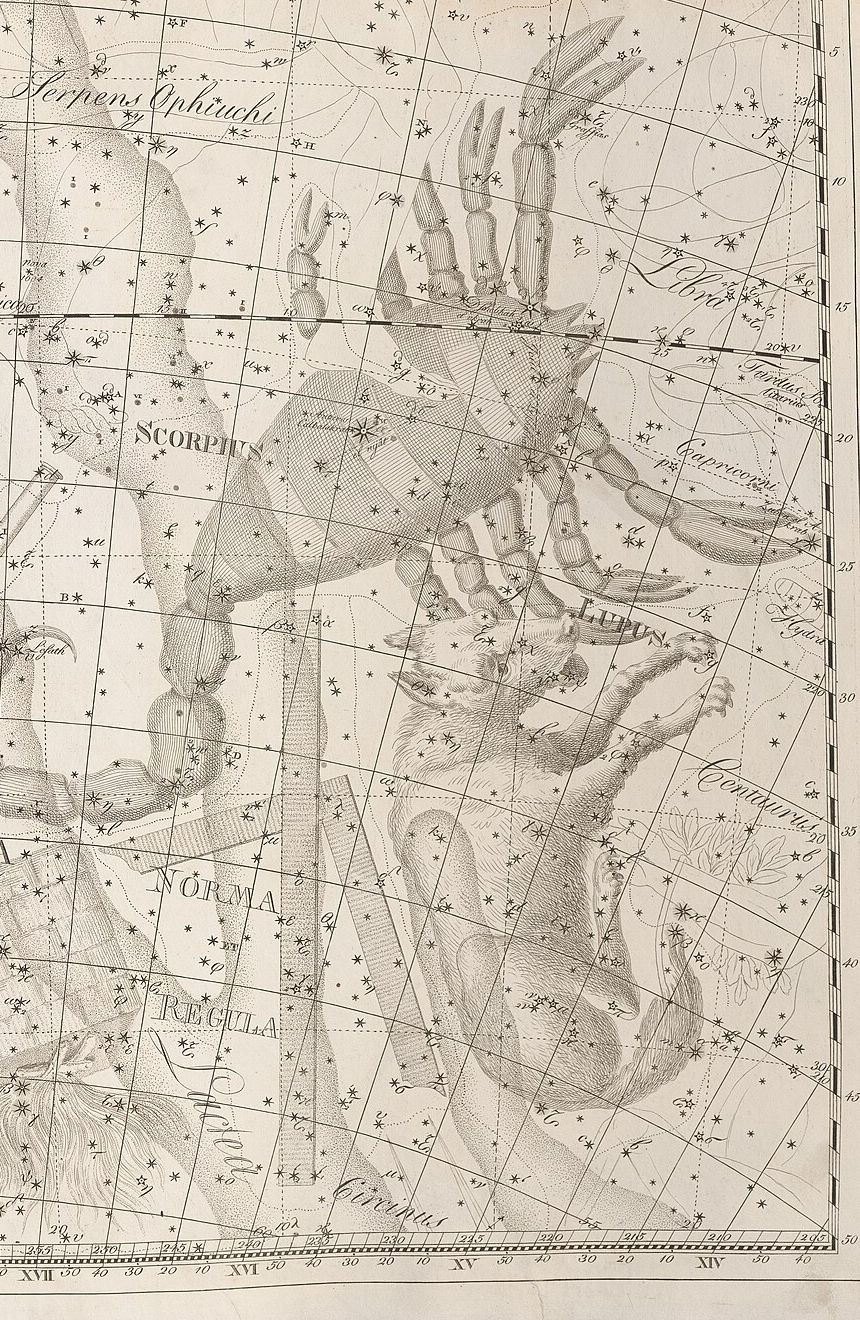 Kupferstich von 1801: der Skorpion in feinen Linien, den Schwanz nach unten eingerollt, umgeben von den Namen benachbarter Sternbilder.