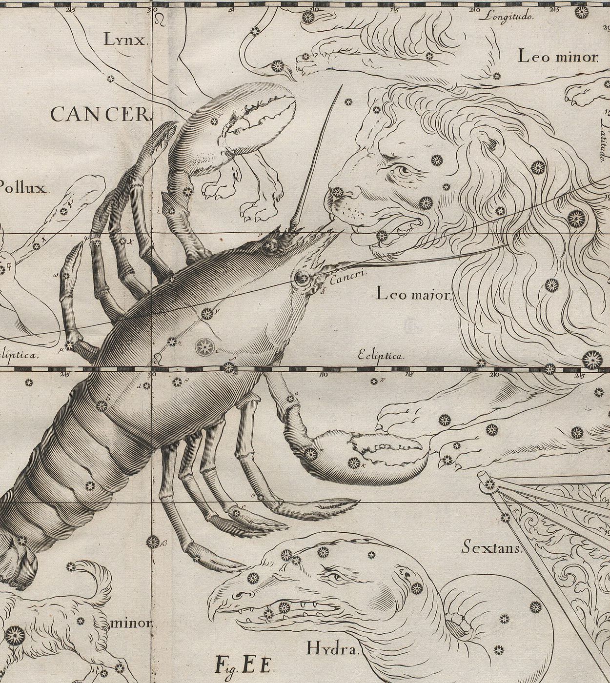 Kupferstich von 1690: ein großes Krustentier mit langen Scheren, schräg auf einem Koordinatennetz, neben dem Kopf des Löwen.