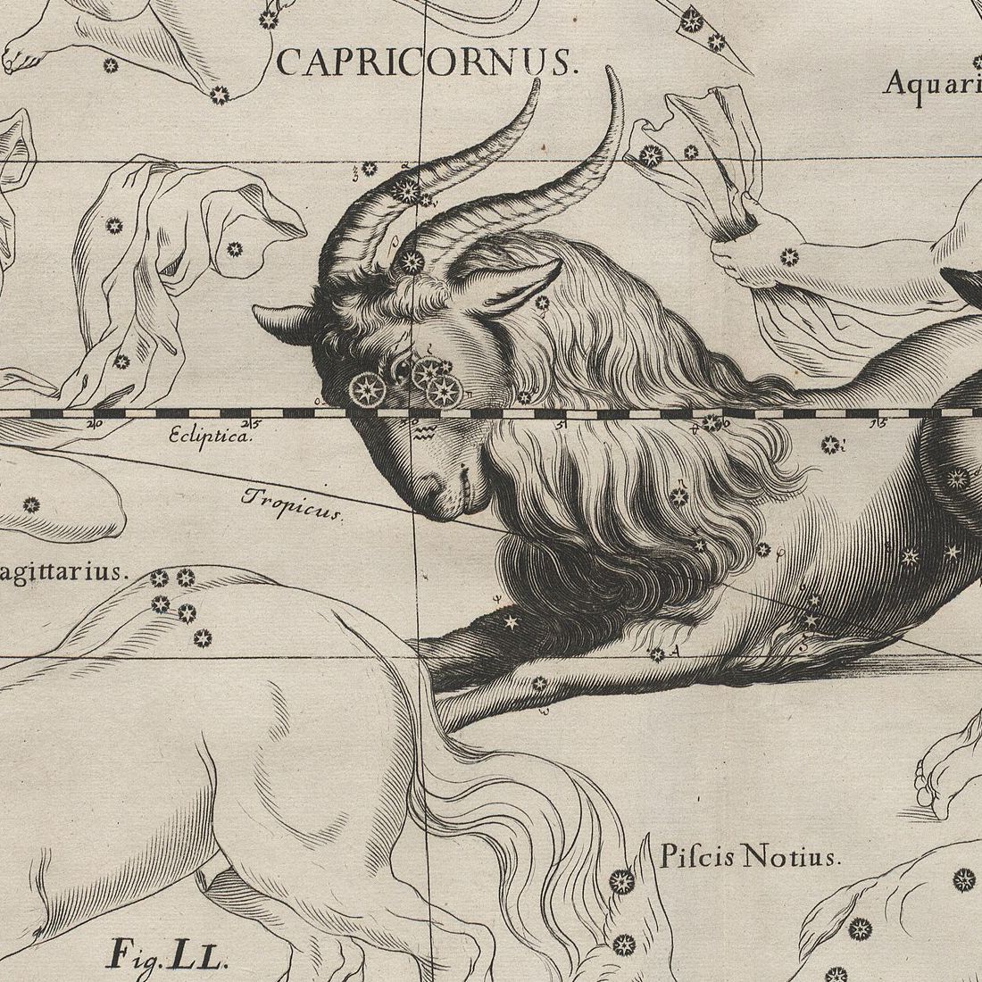 Kupferstich von 1690: ein Wesen mit dem Kopf eines Bocks mit langen Hörnern und einem Fischschwanz, übersät mit nummerierten Sternen.