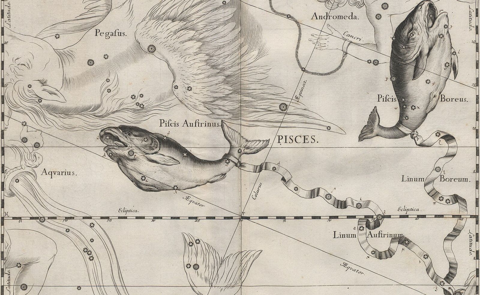 Engraving from 1690: two fish joined by a long wavy ribbon, on a grid of coordinates beneath the wing of Pegasus.