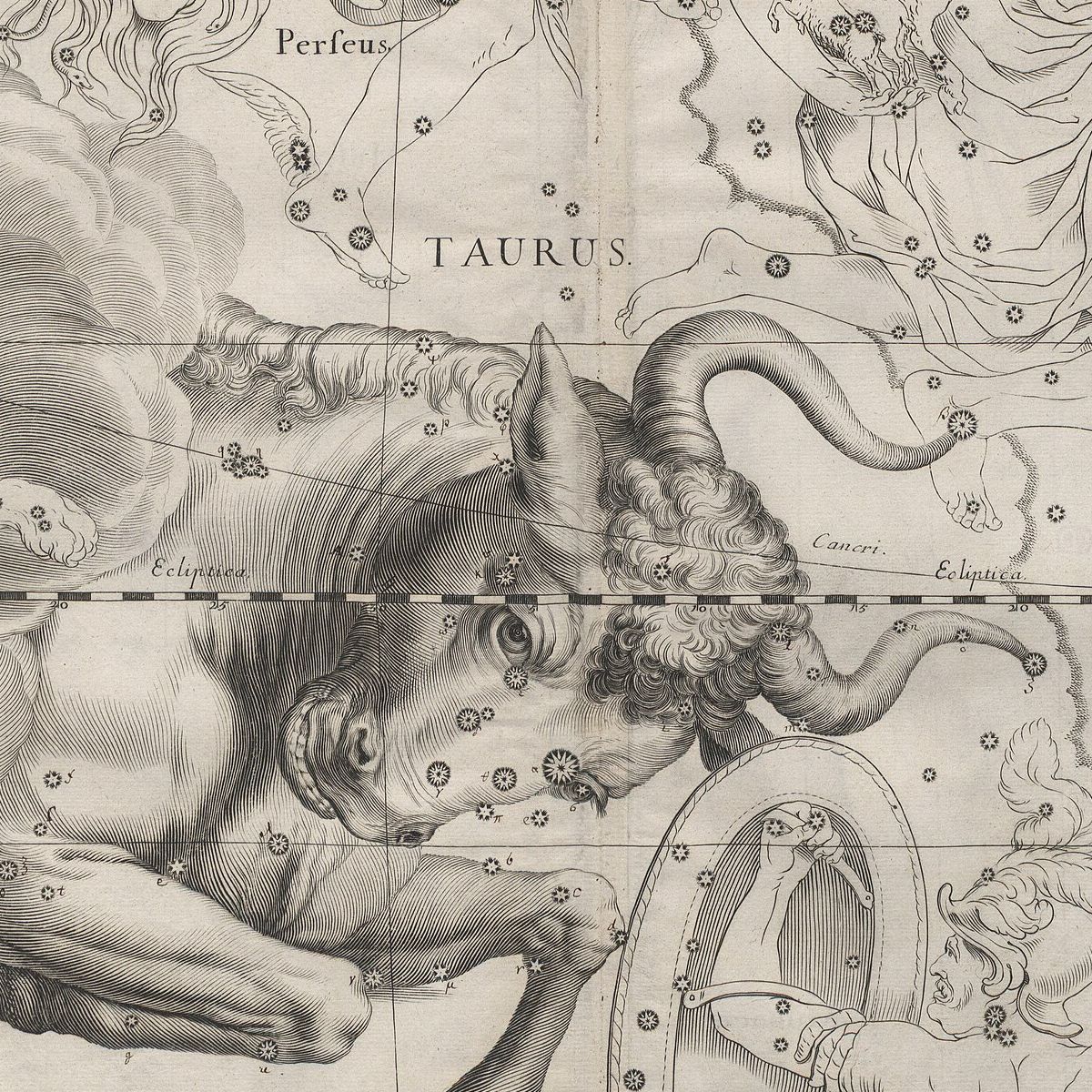 Kupferstich von 1690: der Vorderteil eines Stiers mit langen Hörnern, der aus einer Wolke hervorbricht, übersät mit nummerierten Sternen.